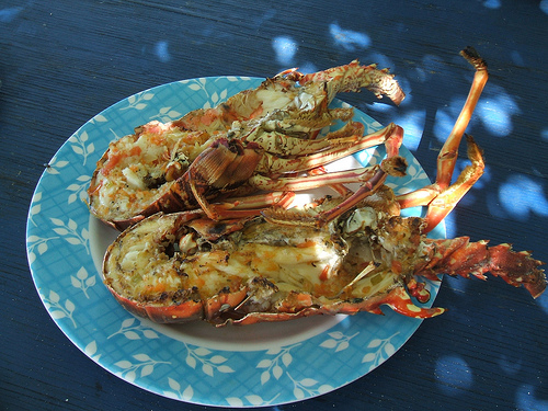 grilled rock lobster