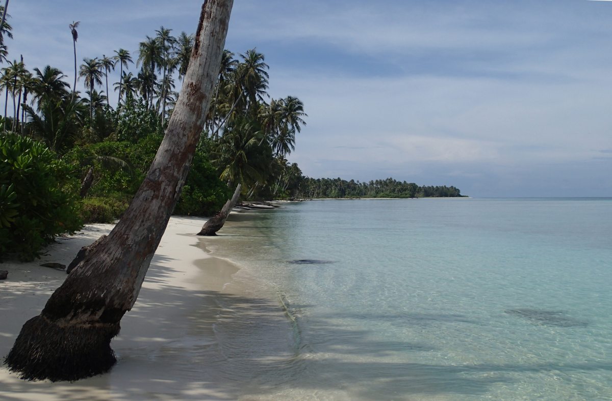 Coconut beach
