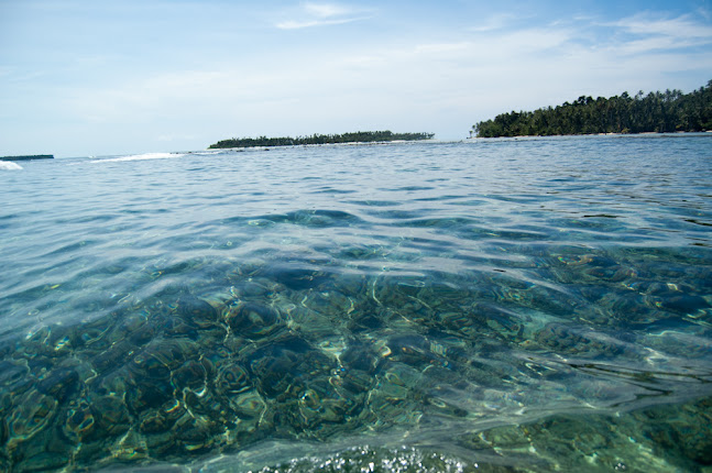 Corals around Pulau Balong